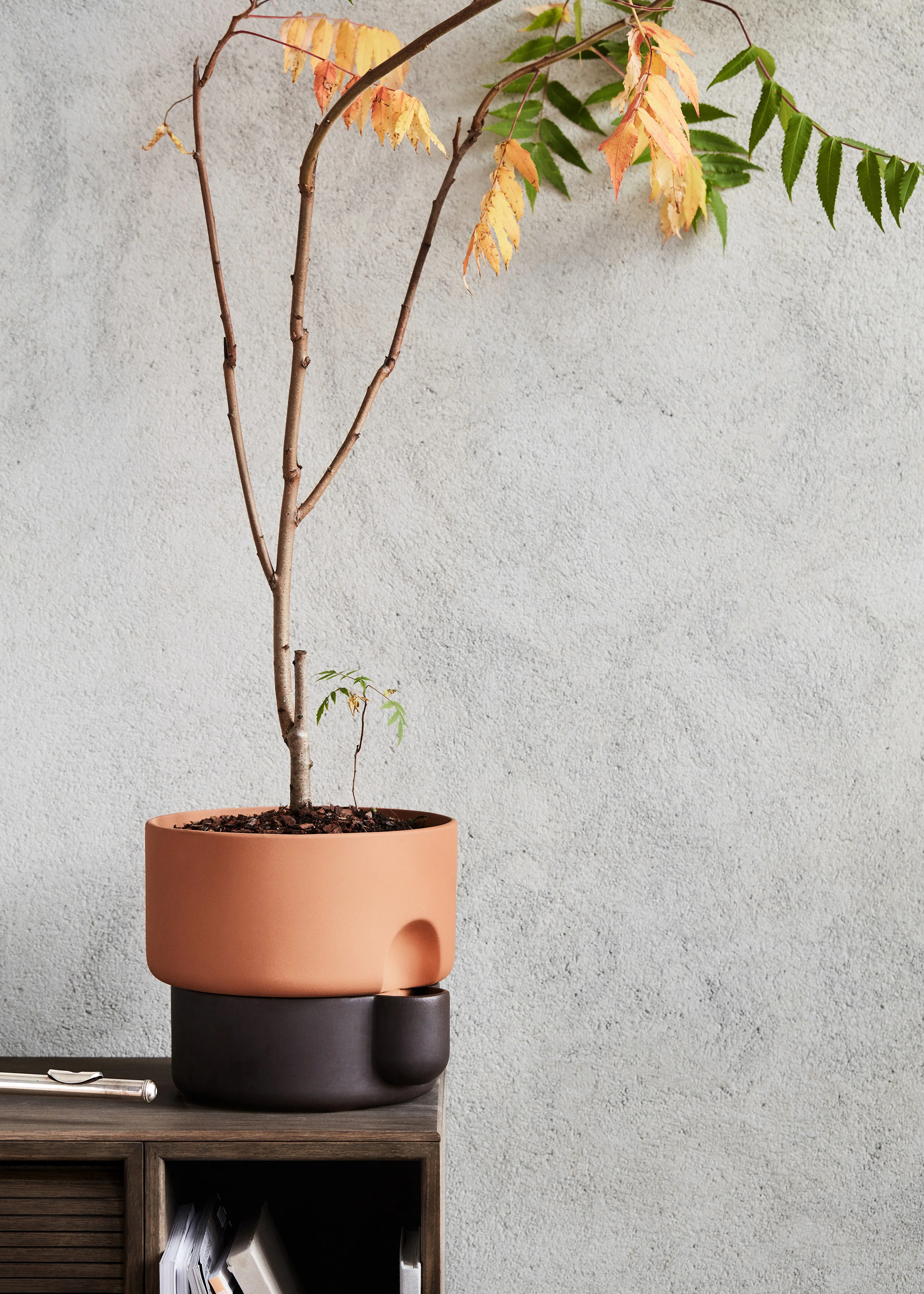 Oasis flowerpot large - Image 5